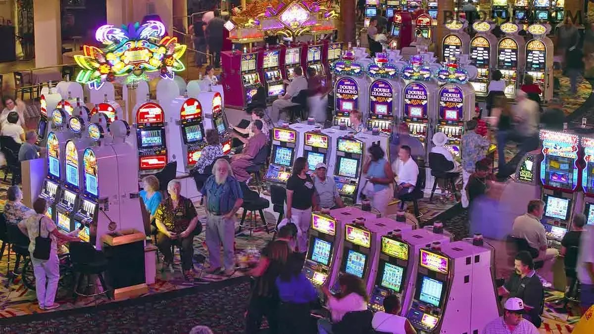 Slots bet959 - Sweet Bonanza e caça-níqueis populares